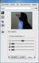Ekiga com Webcam
